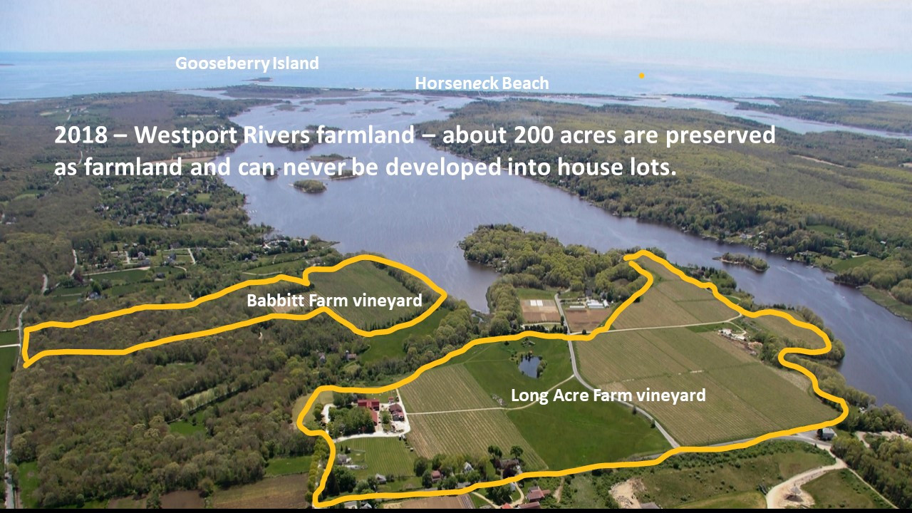 Slide84