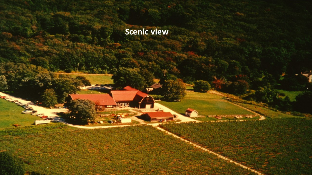 Slide89
