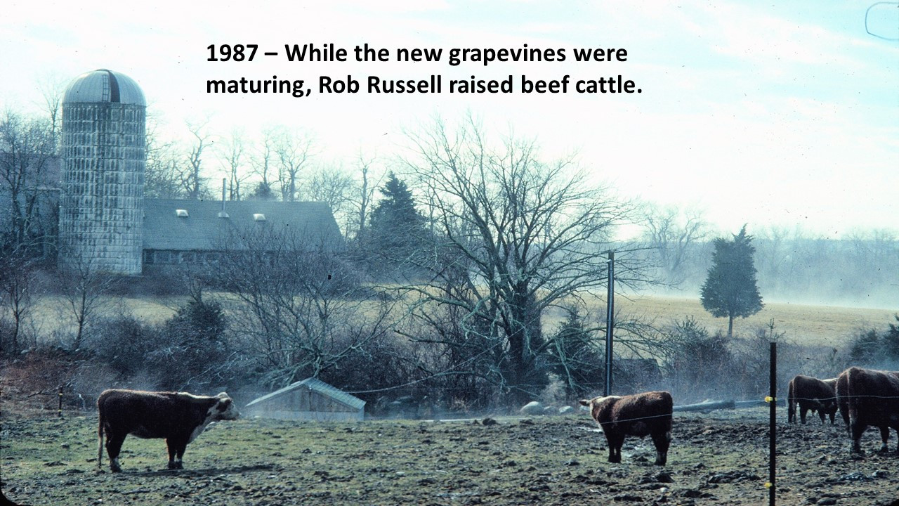 Slide95