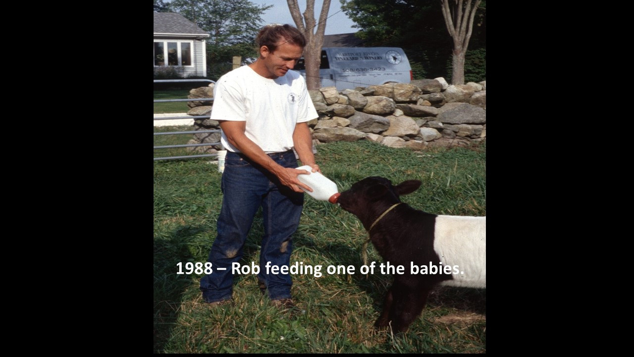 Slide96
