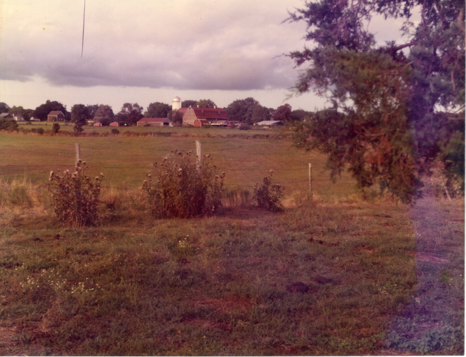 Long-Acre-Farm7