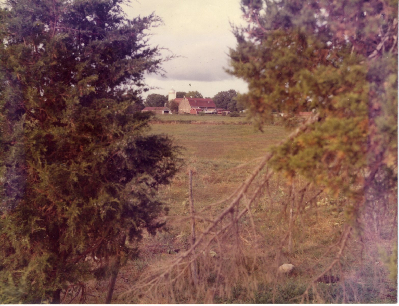 Long-Acre-farm6