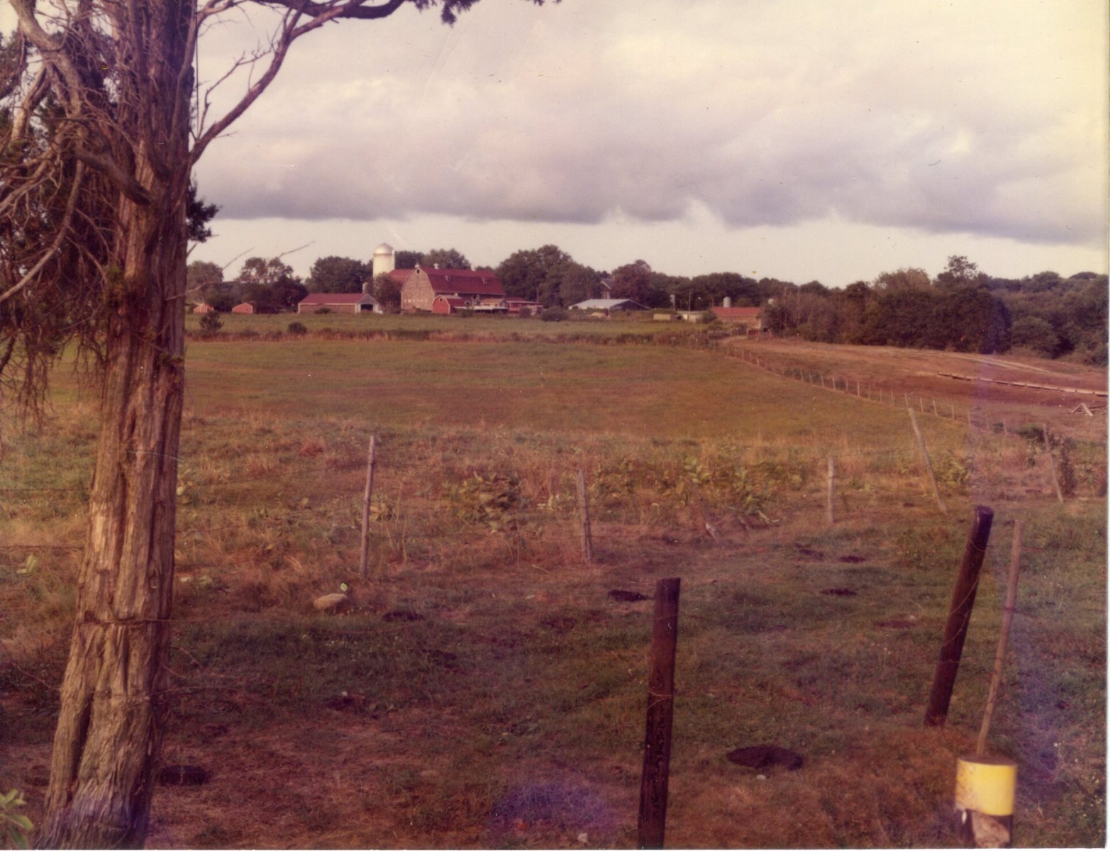 Long-acre-farm5