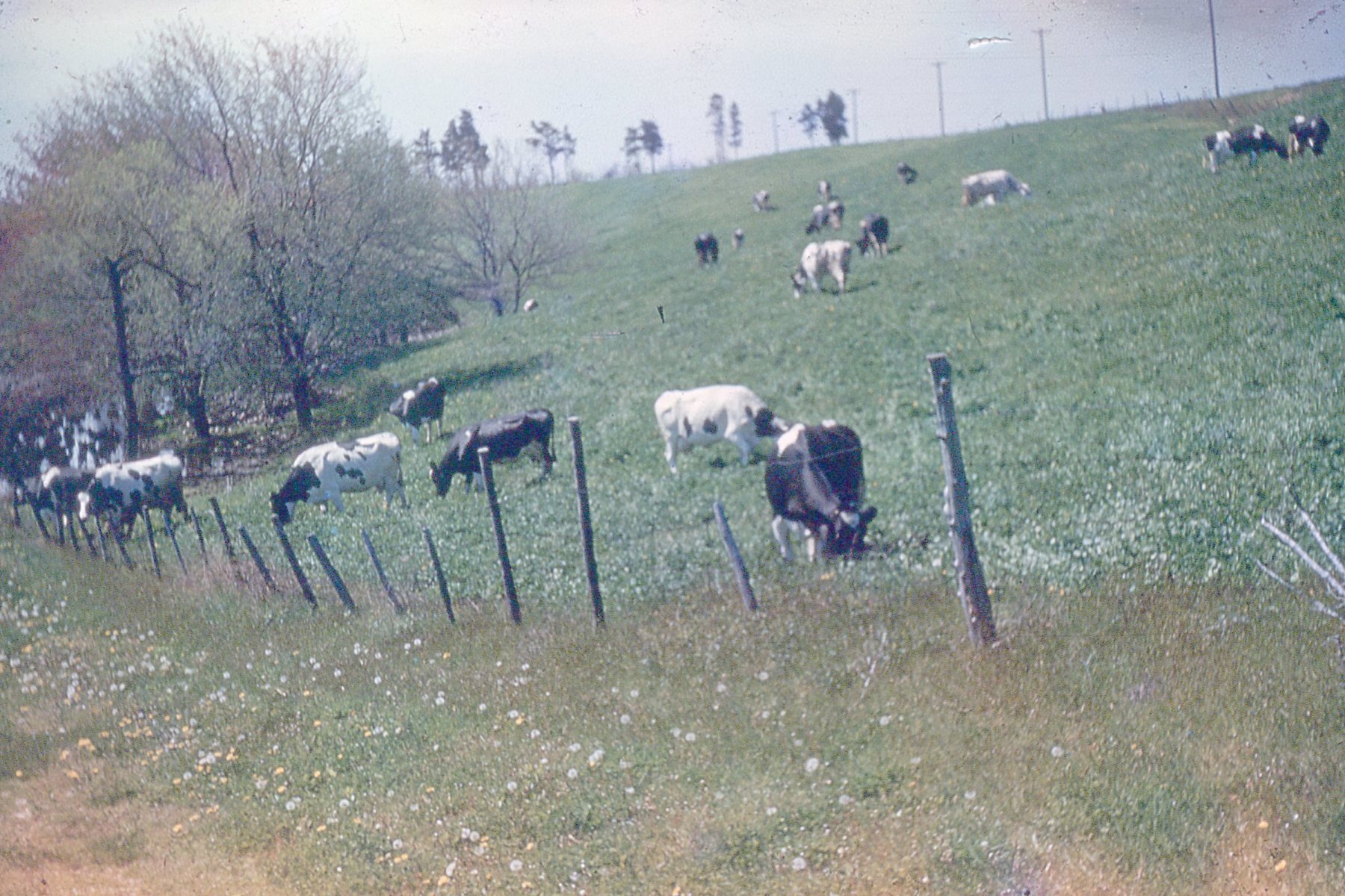 Slide-005