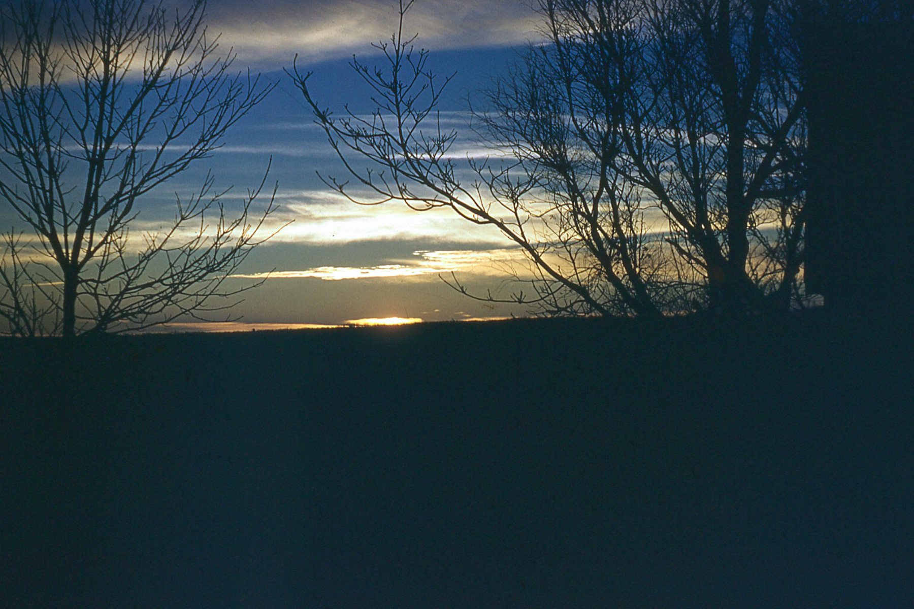 Slide-008