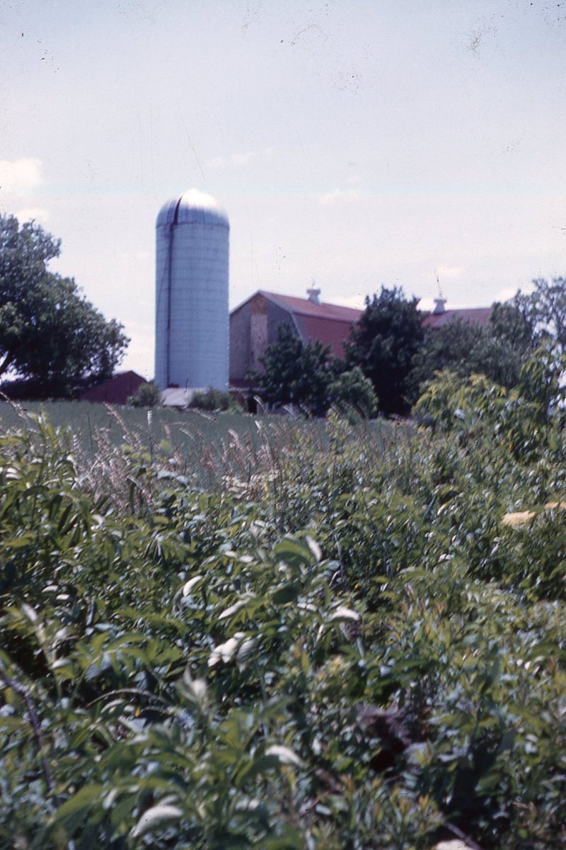 Slide-011