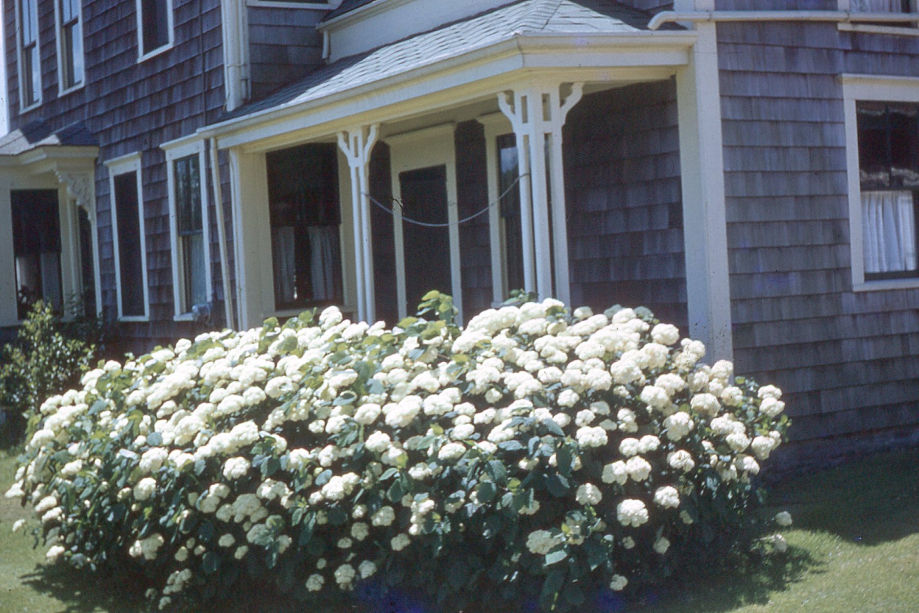 Slide-017
