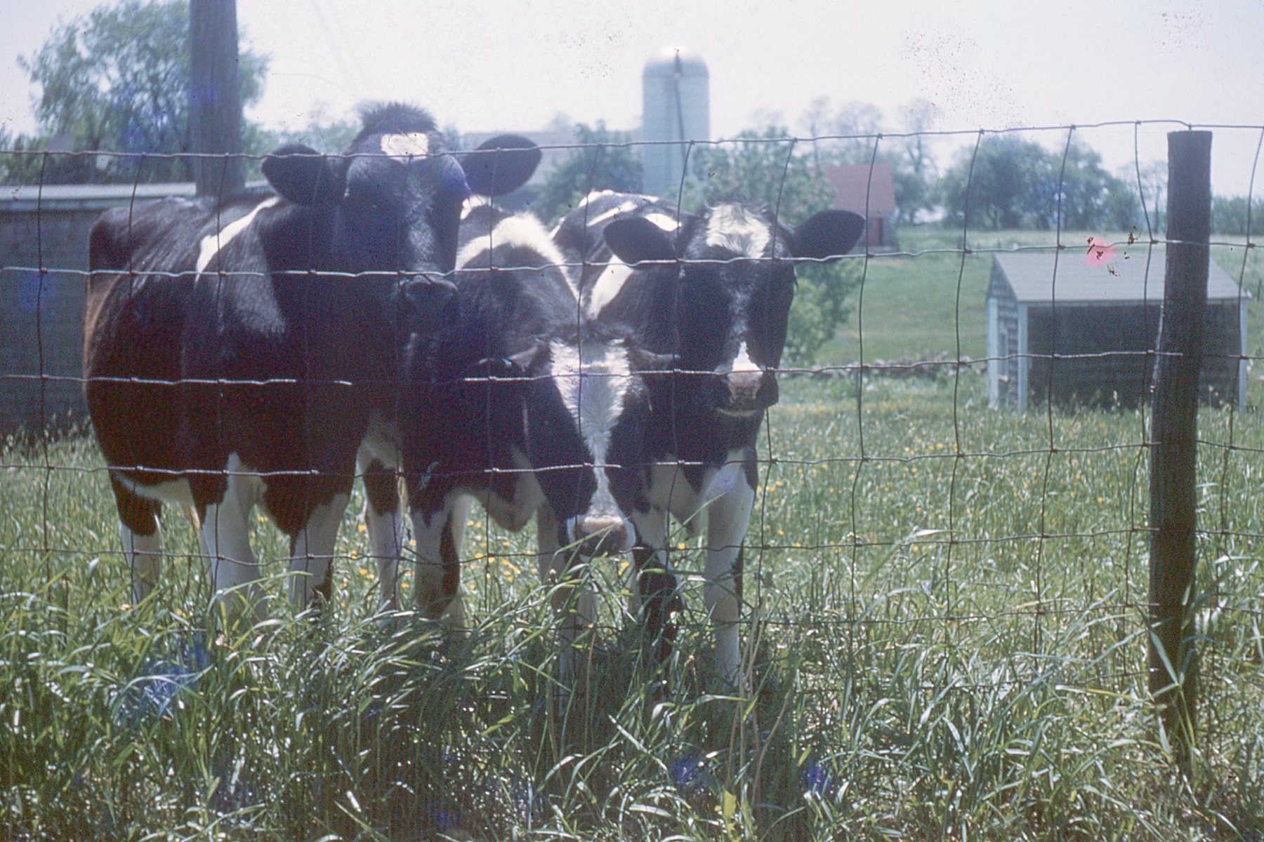 Slide-018