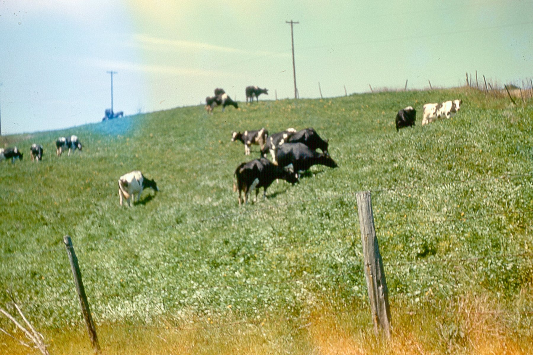 Slide-019