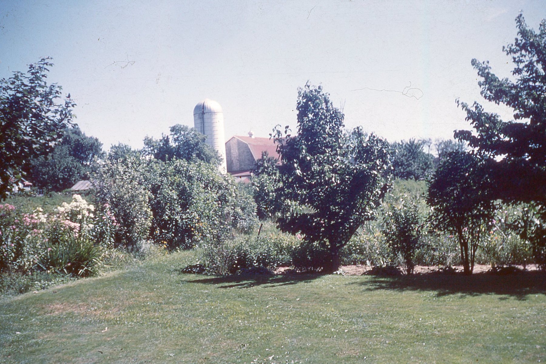 Slide-021