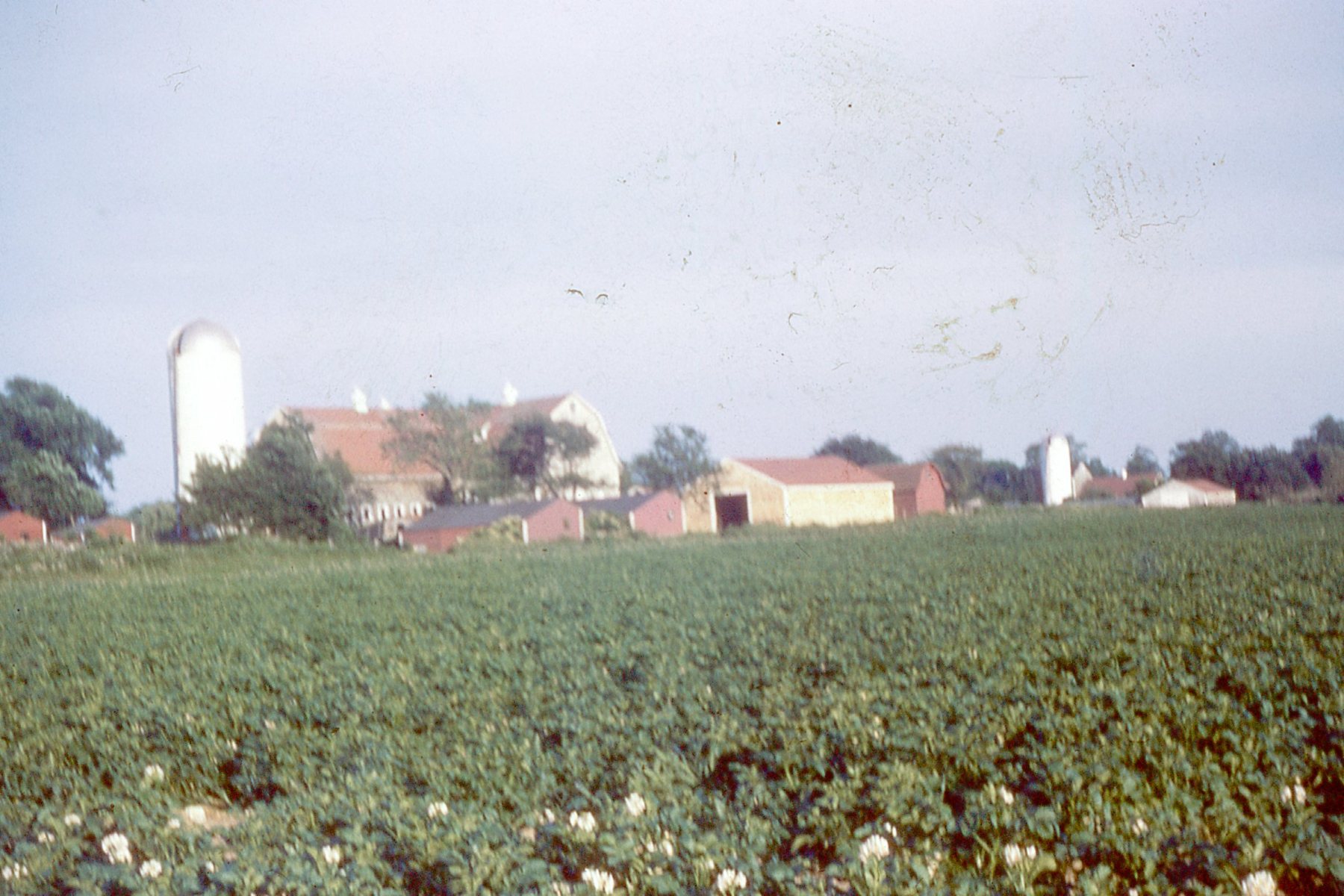 Slide-022