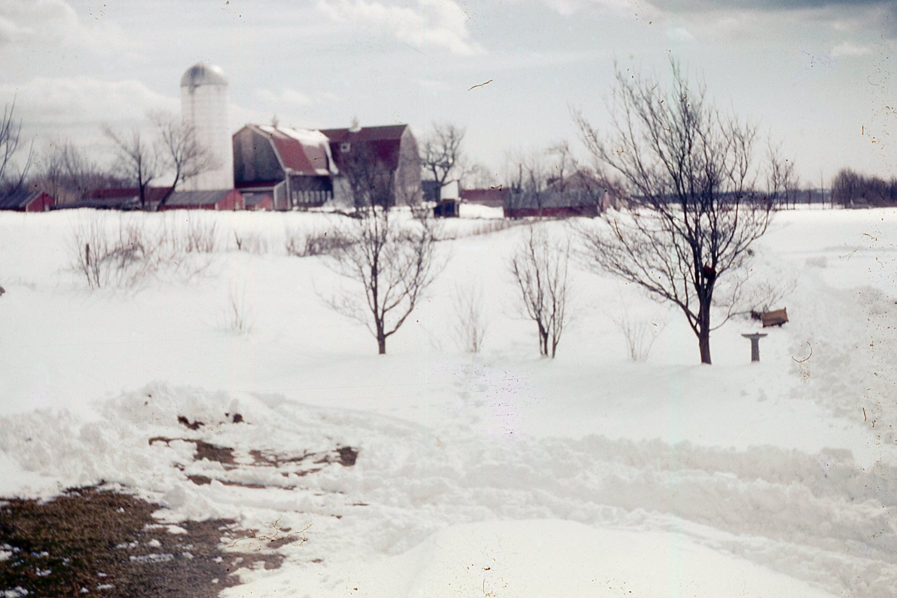 Slide-025