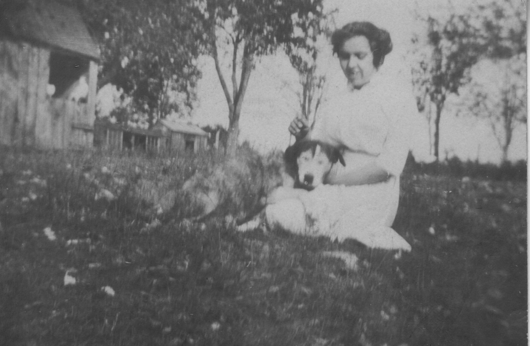 Helen-Tripp