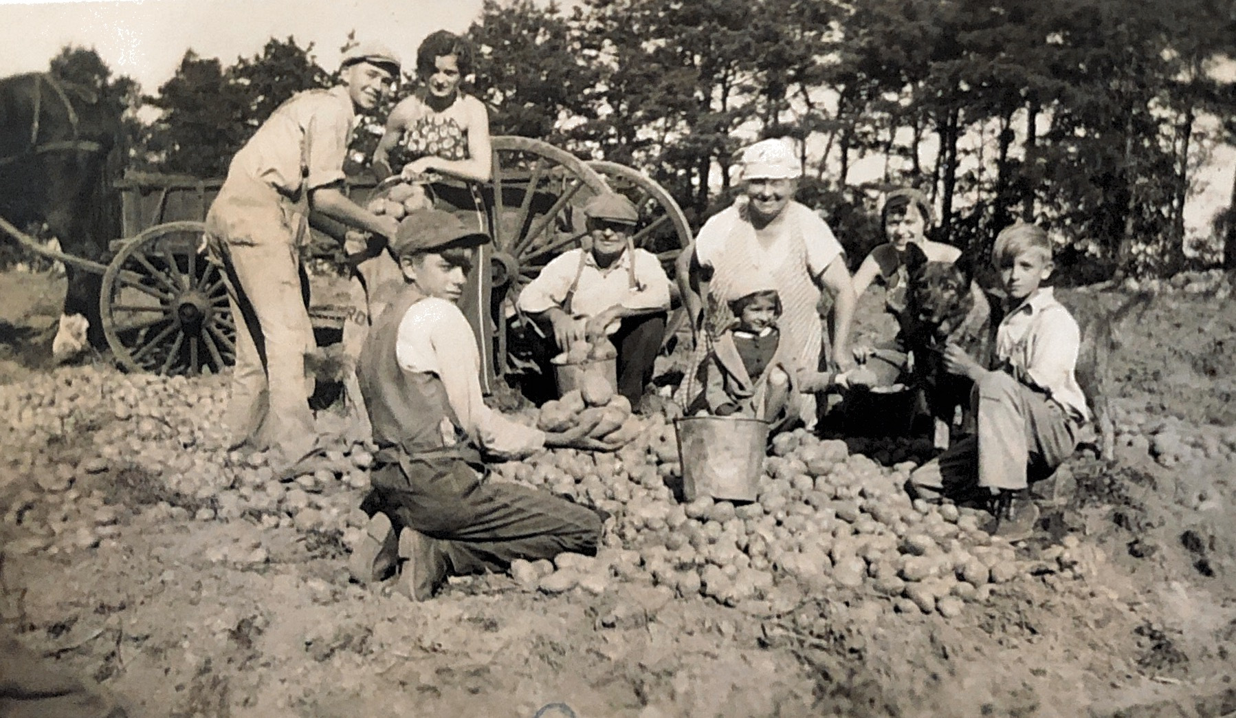 Photo-4-Zembo-family-harvesting-potatoes
