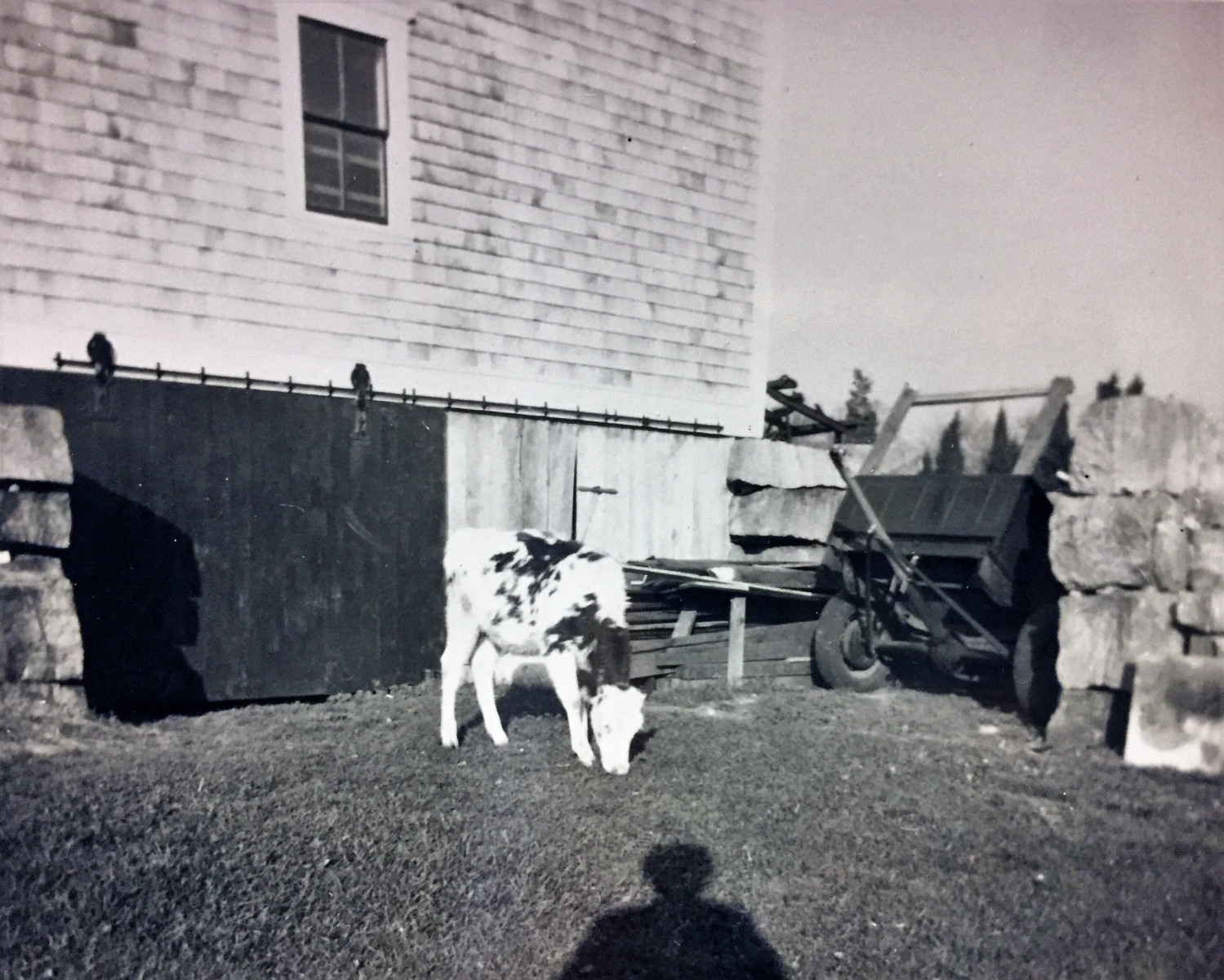Photo-4