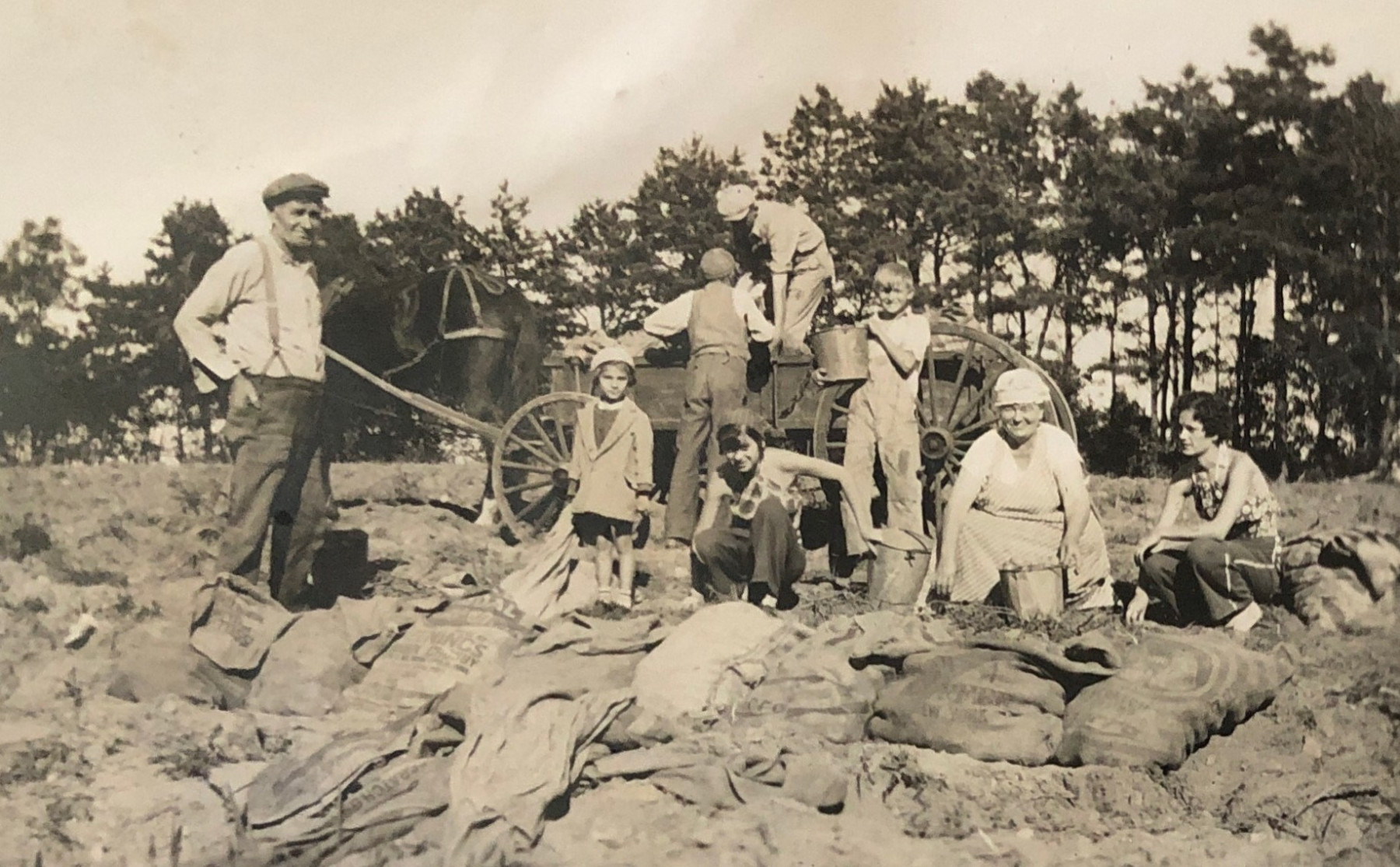 Photo-5-Zembo-family-harvesting-potatoes