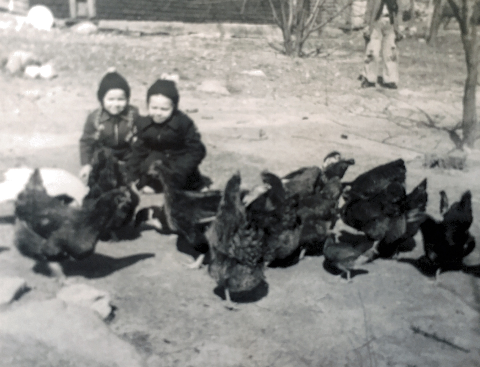 Photo-8-c.1950