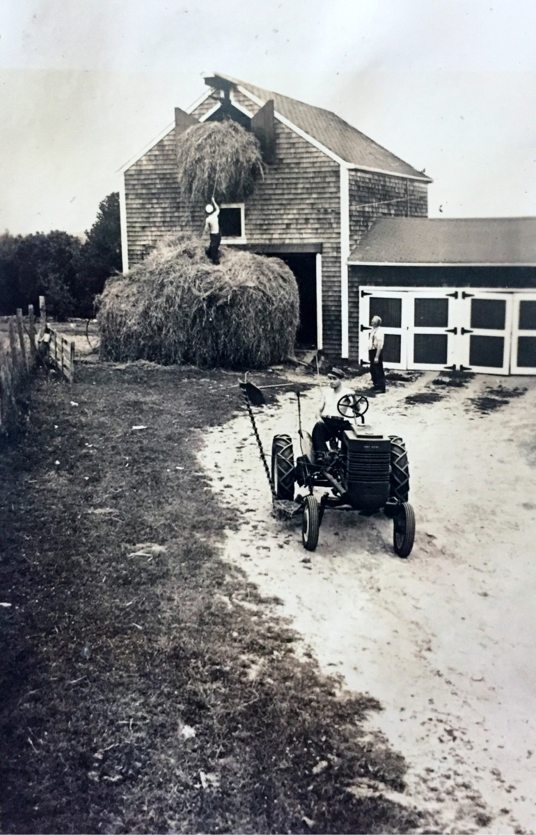 Photo-9-Pitching-hay-on-Zembo-farm-on-Gifford-Beulah-Rd