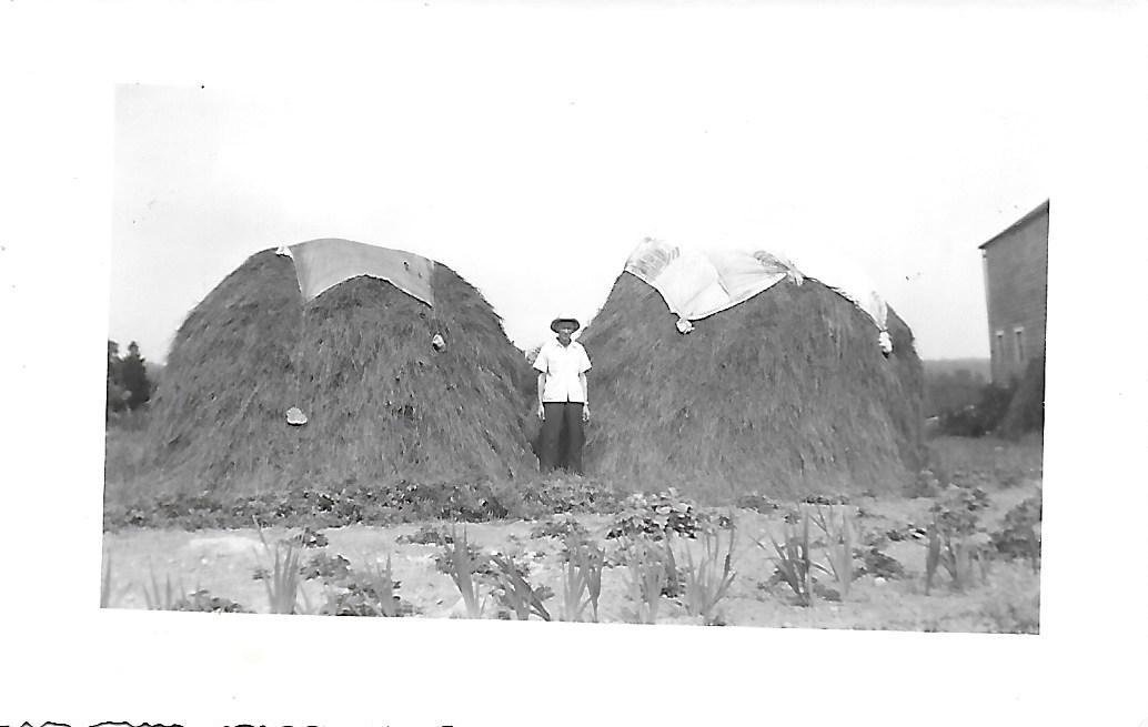 photo-4-Louis-and-haystacks