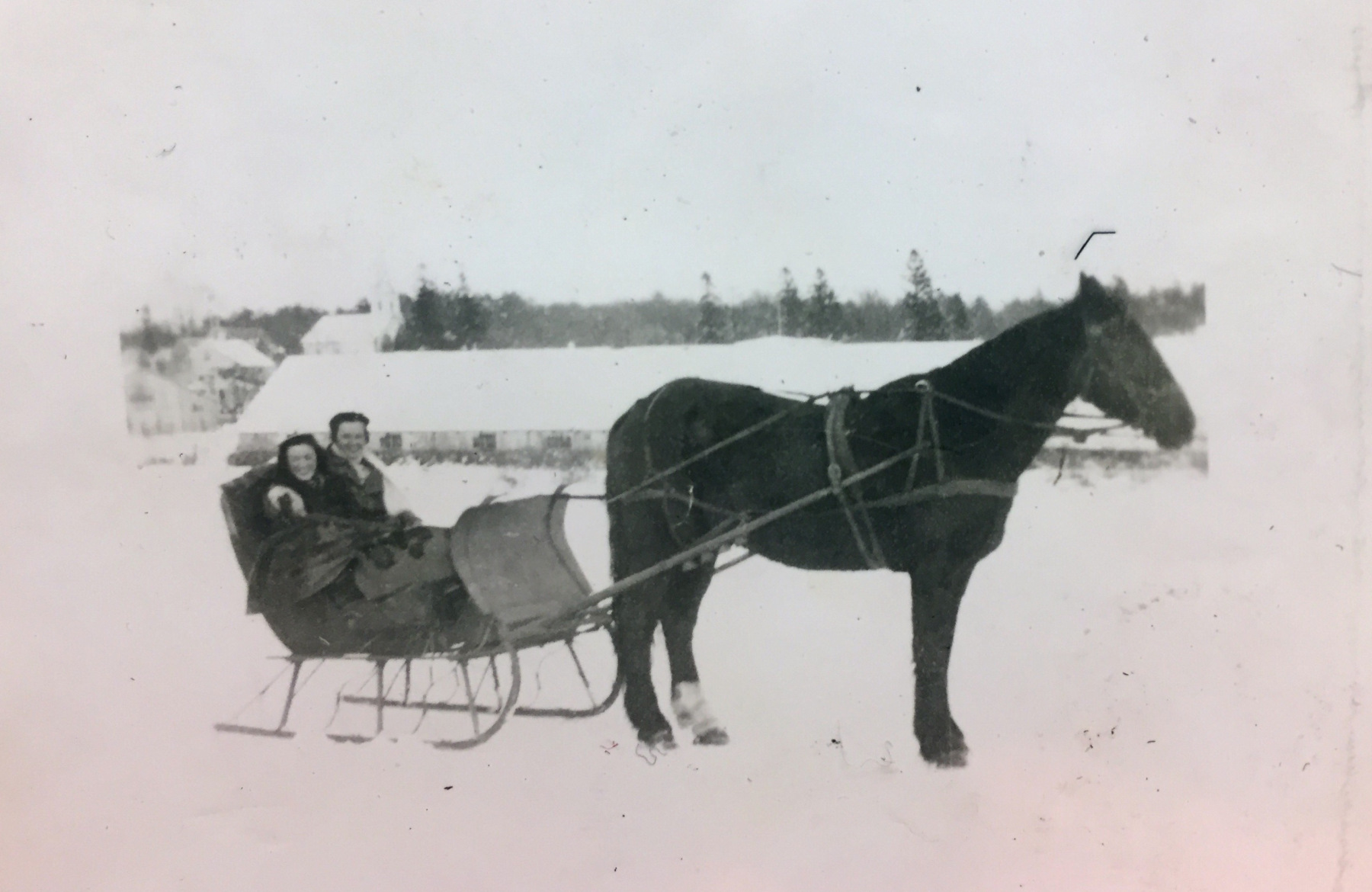 photo-4-Zembo-sleigh-at-the-Head
